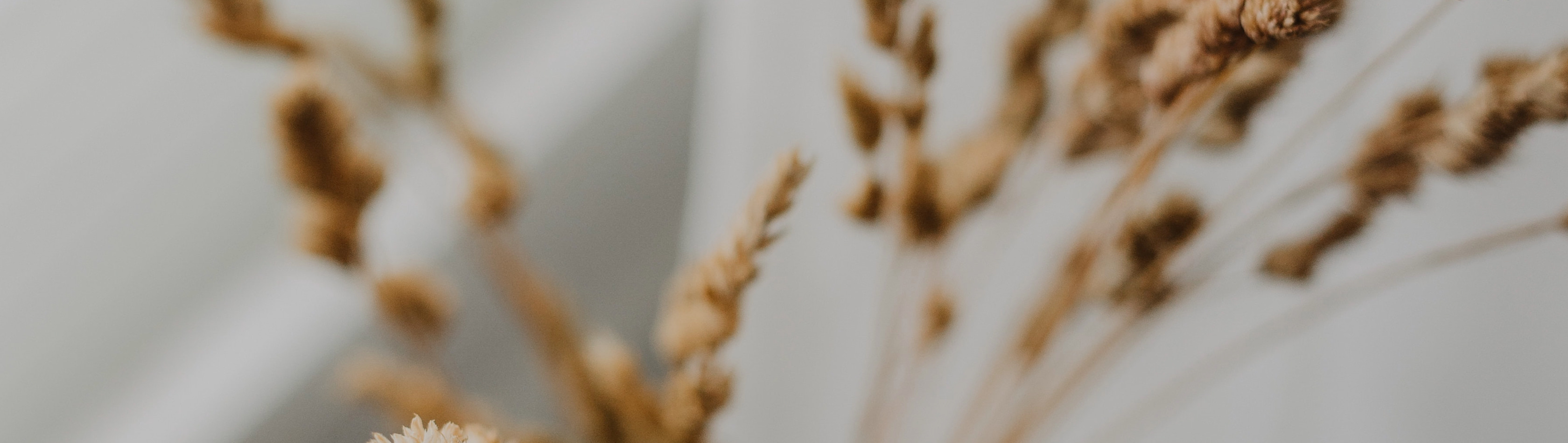 hero background image