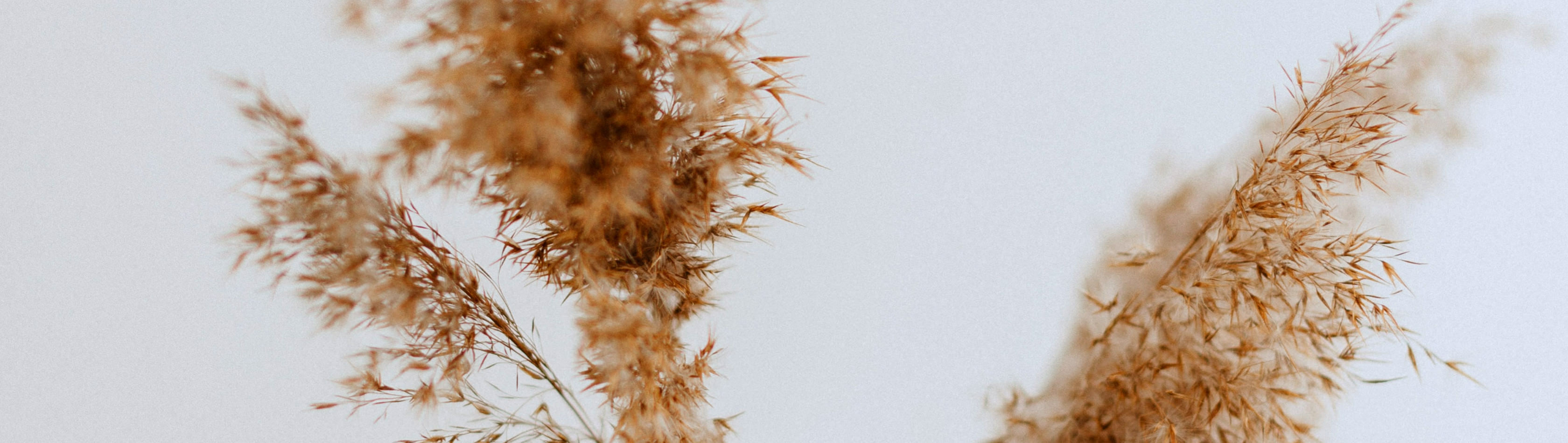 hero background image