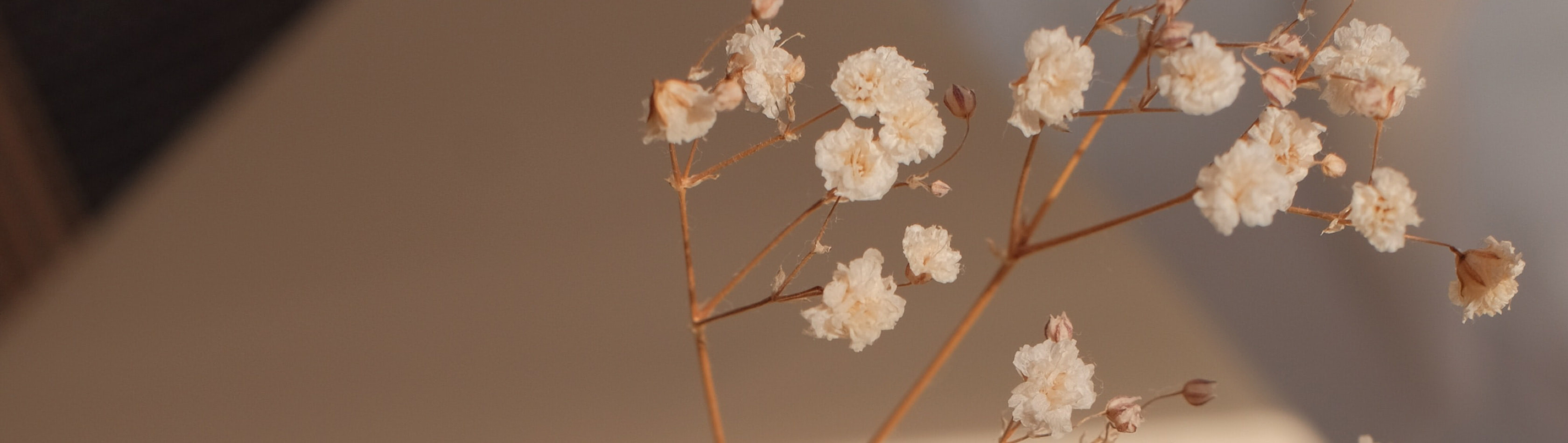 hero background image