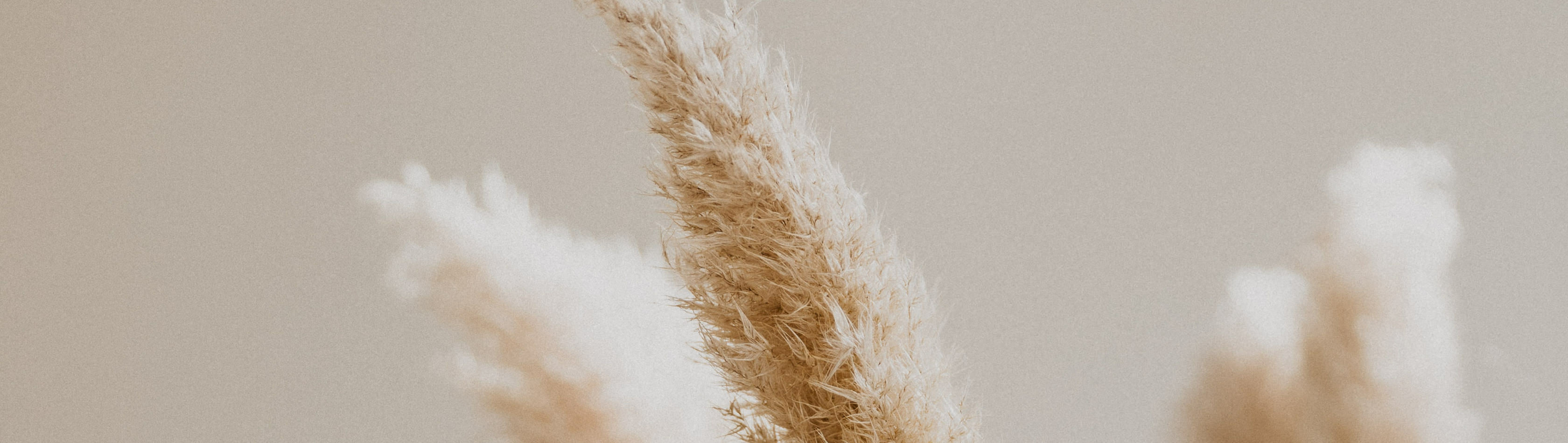 hero background image