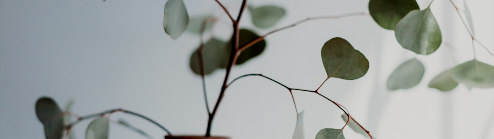 hero background image